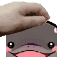 Clodsire_Pat