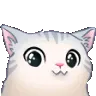cuteszy