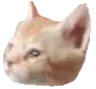 leftmichael
