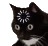 catloading