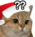 ConfusionCatChristmas