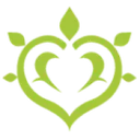 9532dendrogenshinimpact