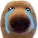 Dogcry dogcry Discord Emoji