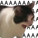 AAAAAAA AAAAAAA