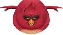 Stare