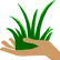 TouchSomeGrass TouchSomeGrass