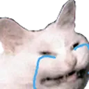 catcry1