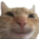 c_happy