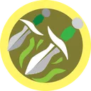 Rogue