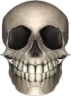 fw_skullGoofy Discord Emoji