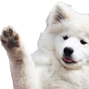 DogWave Discord emoji