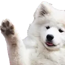 DogWave DogWave