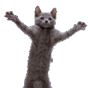 hejustkeepsdancing Discord Emoji