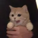 emoji_3