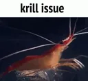 krillissue