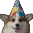 alkParty alkParty