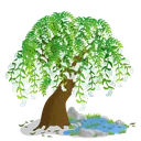 fsc_weeping_willow fsc_weeping_willow