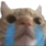 catCry