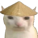 ChinaCat
