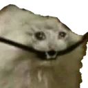 SadCableCat Discord Emoji