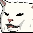 confusedcat confusedcat