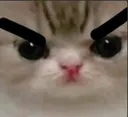 kekabriada