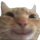 smile Discord Emoji - Apex Racing