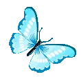 f_butterfly