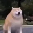 okbuddy