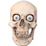 bruhskull bruhskull