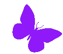 b1_spurplebfly