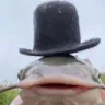 fishhat fishhat