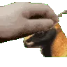 845776085635694633 845776085635694633