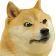 WtfDoge Discord Emoji