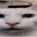 livelivereaction