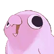 birdVibe