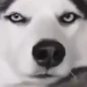 __