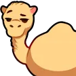 romainjDromadaire