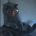 cat Discord Emoji