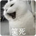 __hahaha Discord Emoji