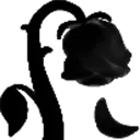 black_rose