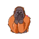 Orangutan1