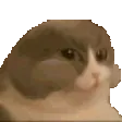 catmonch