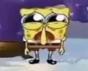 spongesadder spongesadder