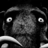 mannyfear