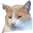 susCat