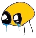 wahttjefuck