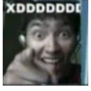FernanXD