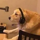 gameplayers Discord Emoji