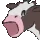 cowpog